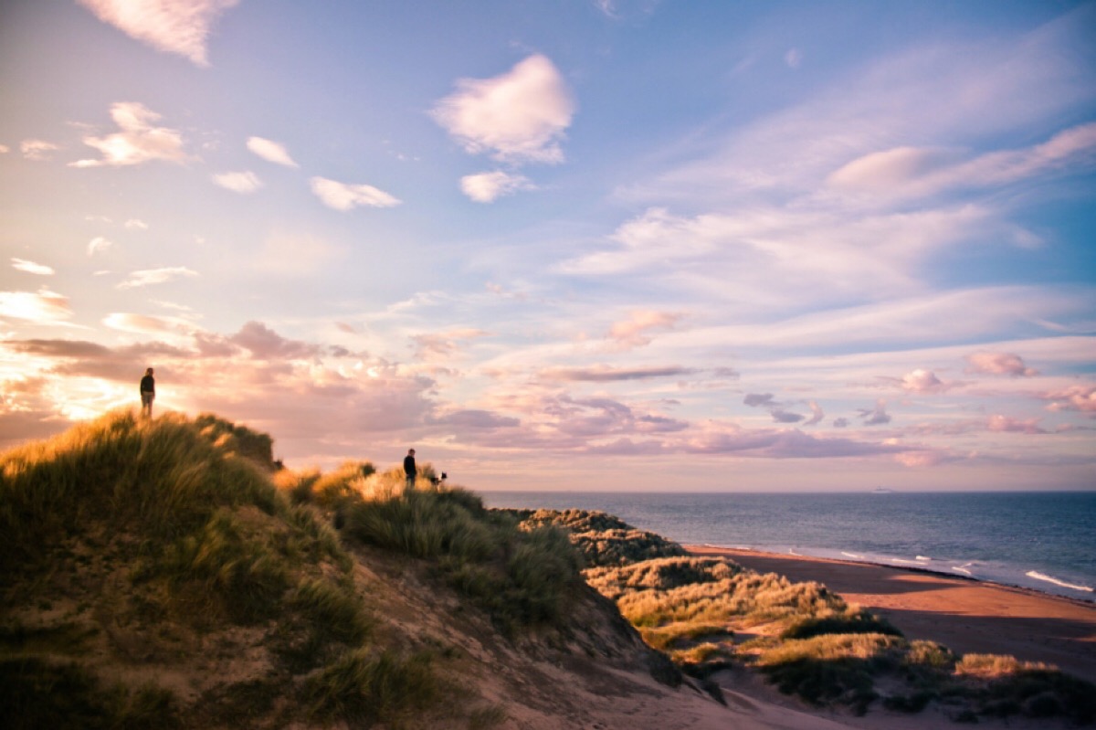elizabeth gadd |诗与远方