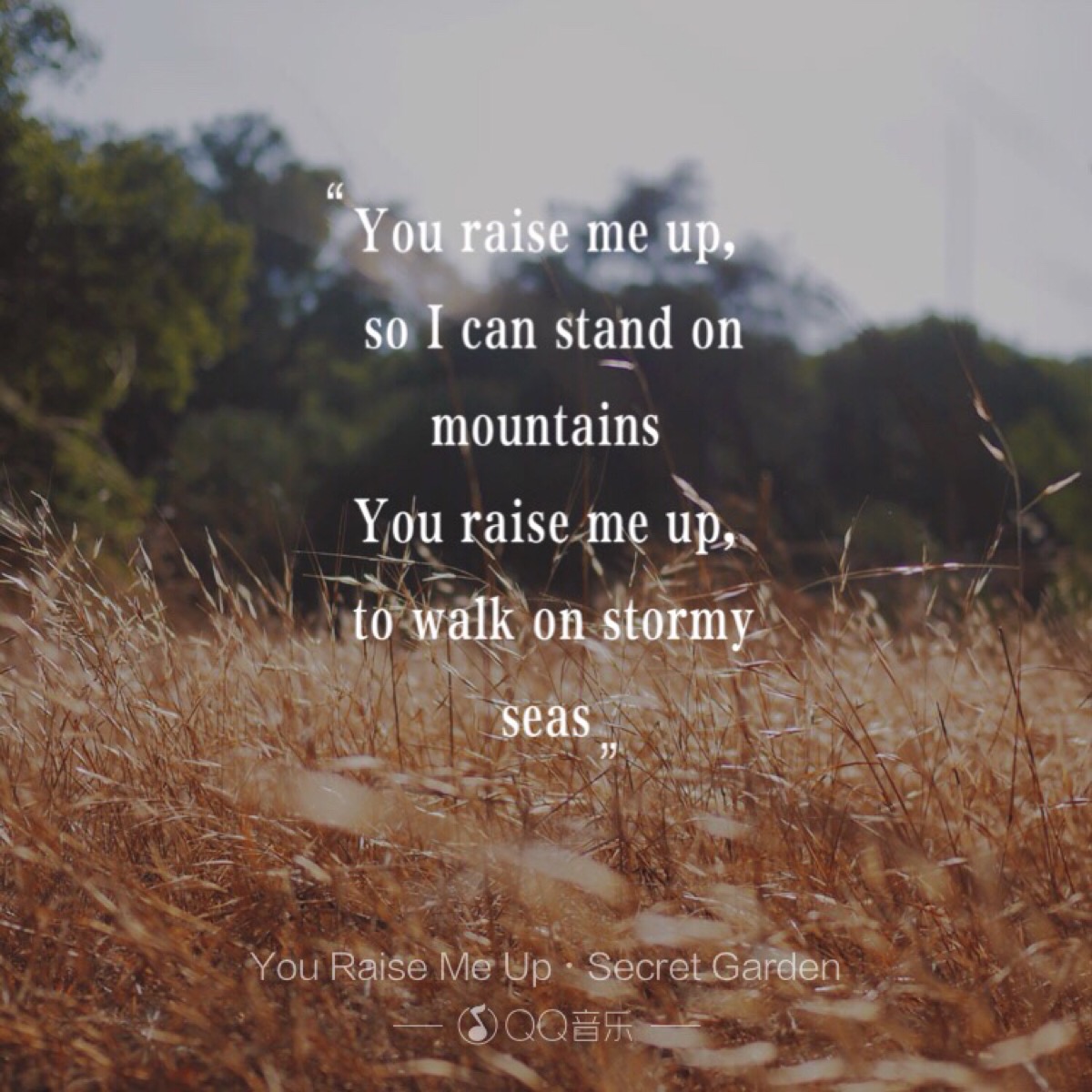 you raise me up