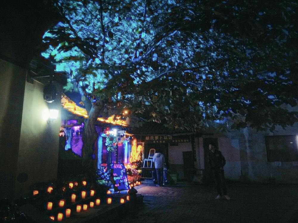 夜晚不宁静的西塘.灯红酒绿