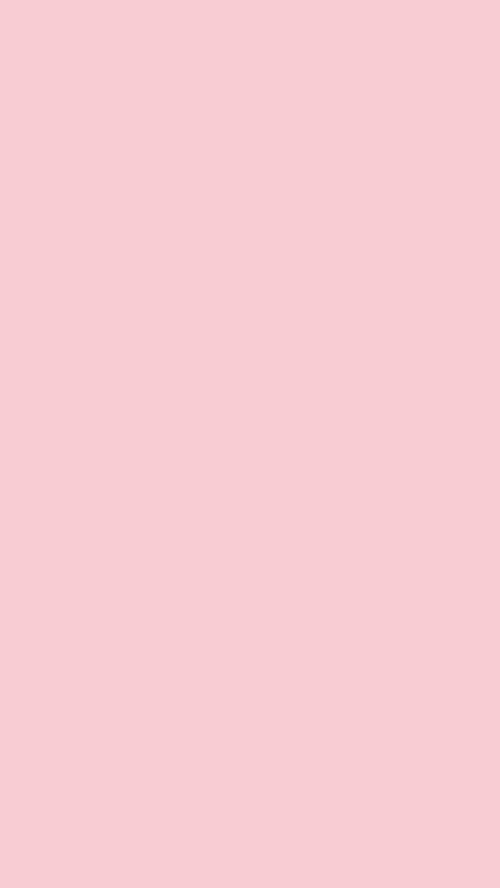 唯美小清新纯色粉色壁纸桌面屏幕女生萌-堆糖
