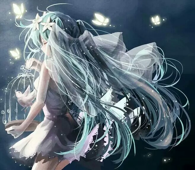 蝴蝶少女