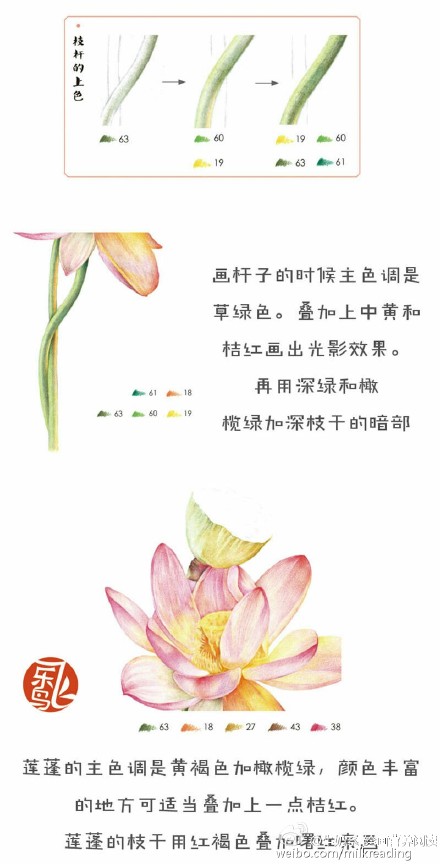 彩铅教程##荷花是这样画的#来自@飞乐鸟 的彩铅教程 喜欢彩铅绘画的