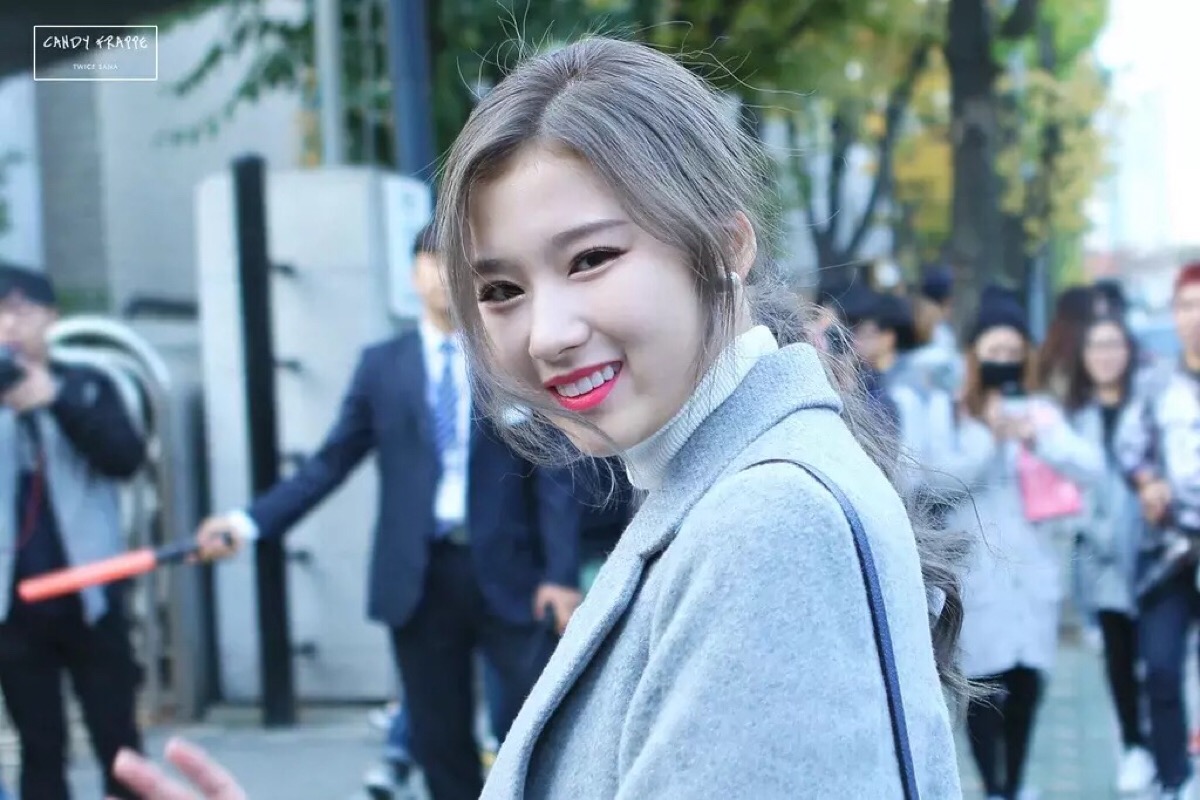 都市范儿sana