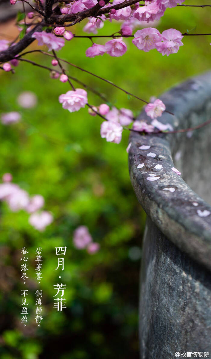 四月·芳菲 故宫【紫禁城】壁纸/美图/风景/高清