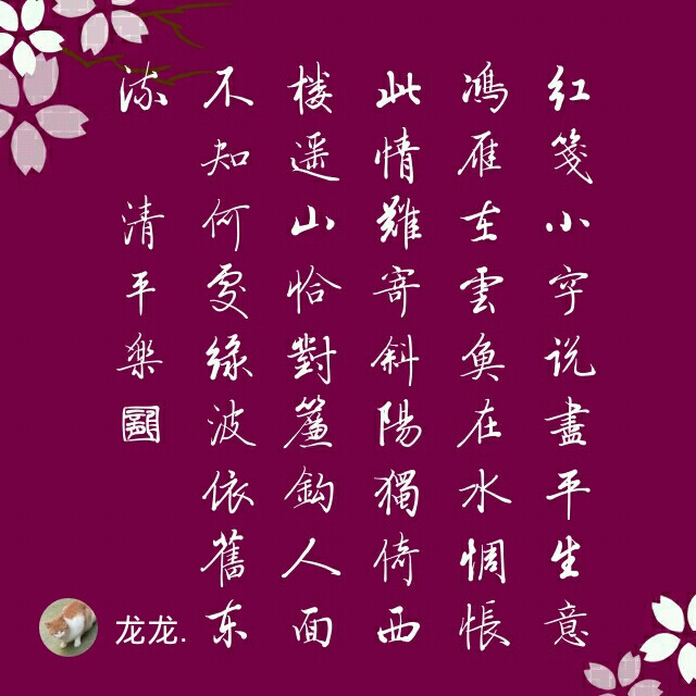 红笺小字,龙龙唯美书法作品