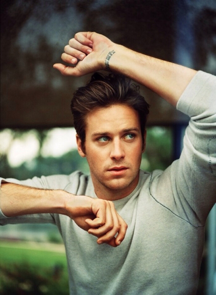 艾米·汉莫(armie hammer)