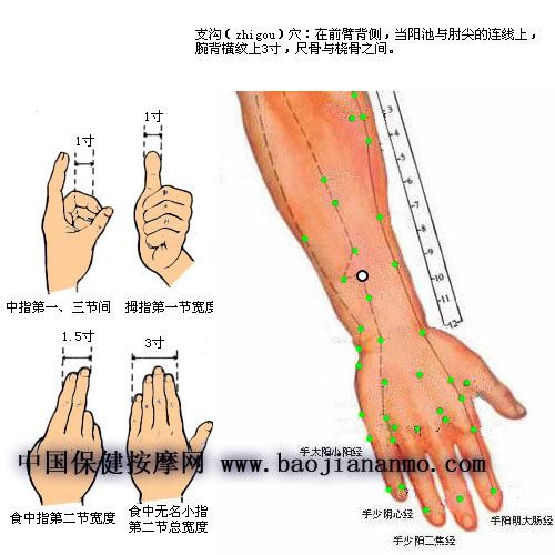 手腕上就有个通便穴——支沟穴,它位于手腕横纹与手肘横纹间的中线上