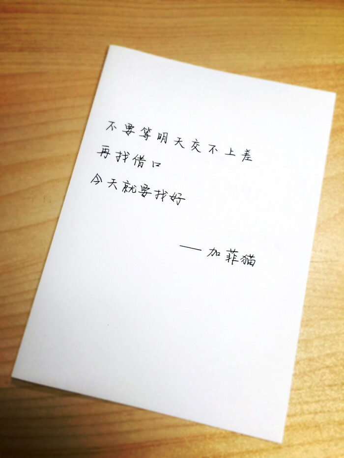 7.15不要等明天交不上差再找借口,今天就要找好《加菲猫》