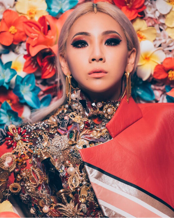 2ne1 cl 李彩琳