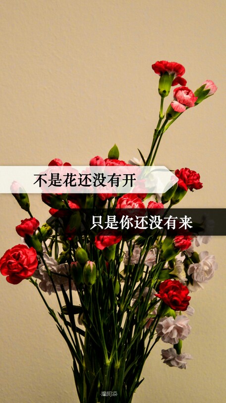 文字 句子 情感 治愈 励志 伤感 青春 手机壁纸 自制壁纸 [潼阿凉]