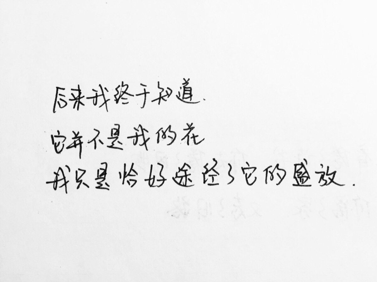 手写.美文美段.