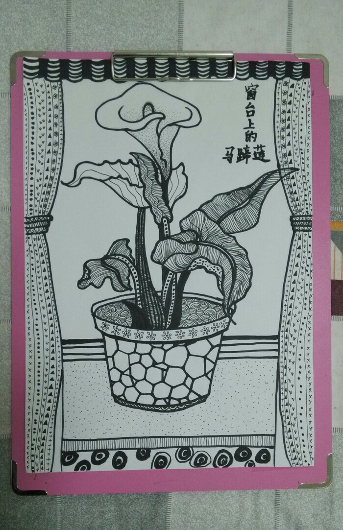 窗台上的花