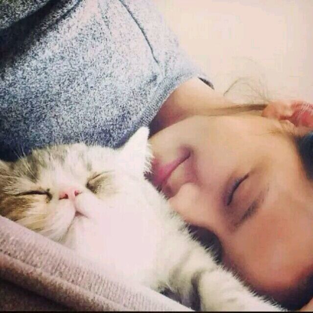 女头像 动物 猫 闭眼 微笑 『璃冰茉_橙子的深景.』