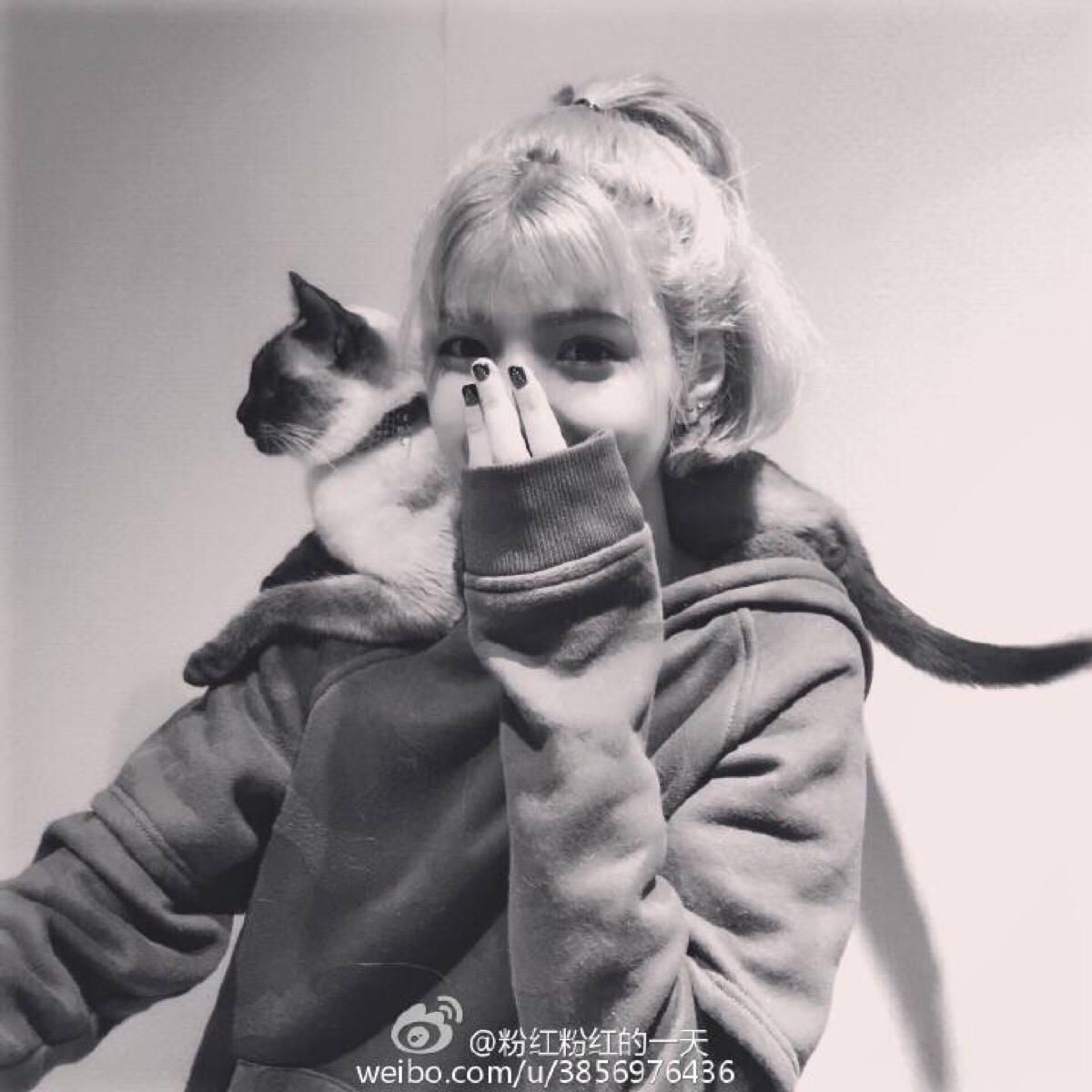粉红粉红的一天 中埃混血 埃及一枝花 shahd