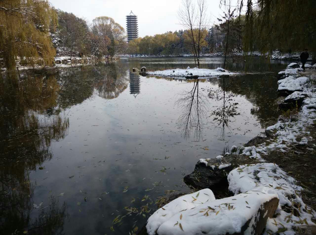 北京大学 雪景~未名湖