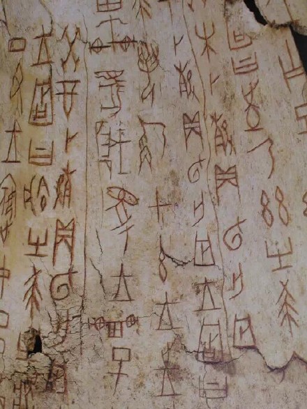 甲骨文是中国目前已知最早成系统的文字.