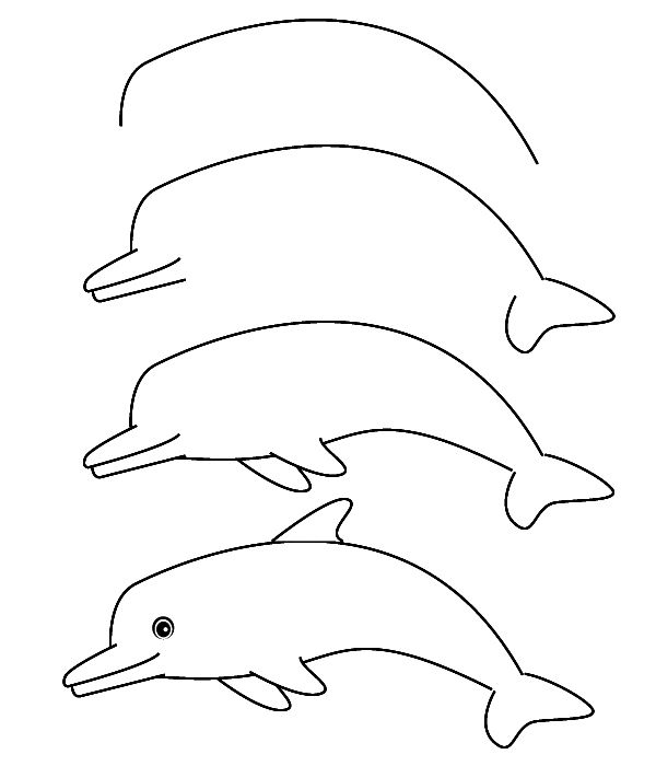 海豚的画法