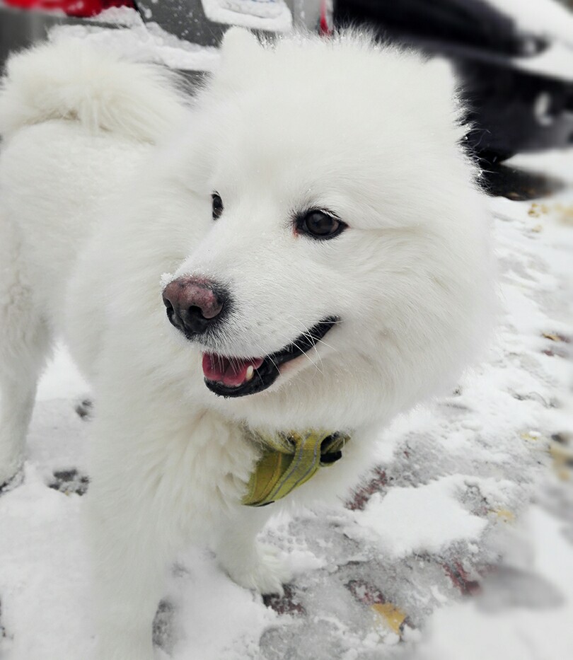 下雪了～爱雪的孩子!