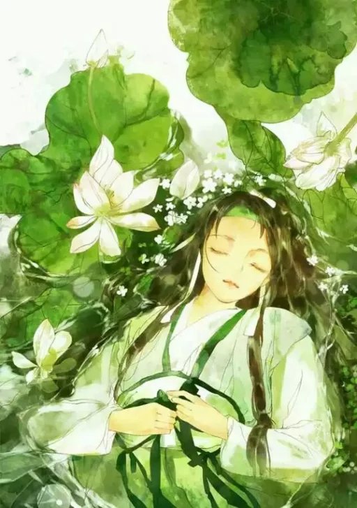 古风,荷花,绿