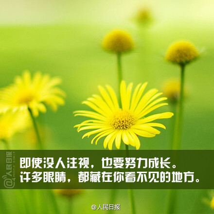 请相信:别人拥有的,不必羡慕;只要努力,时间都会给你.