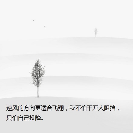 每个人都会有一段异常艰难的时光,没人在乎你怎样在深夜痛哭,别人再