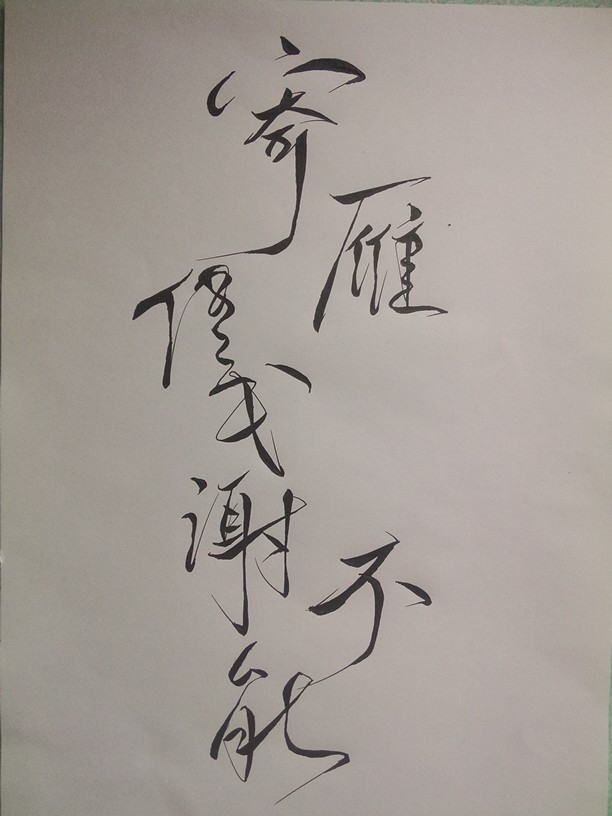 菊花体 