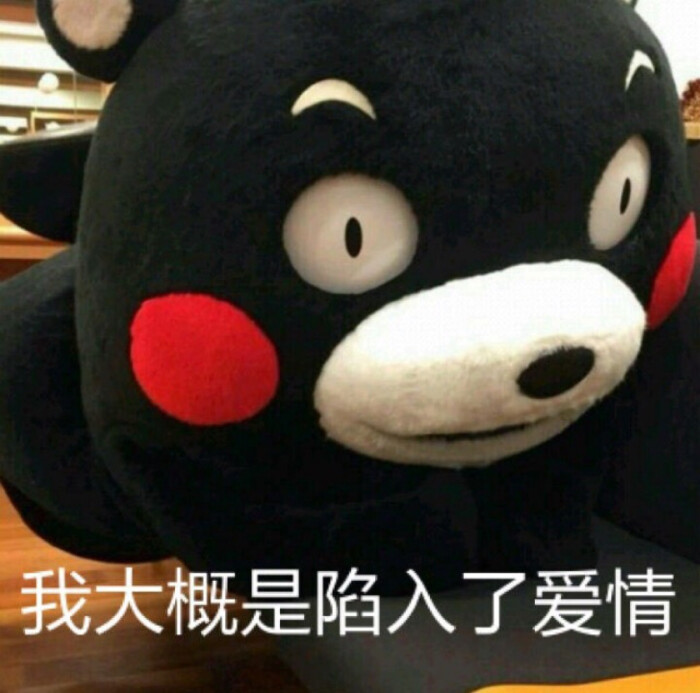 我大概是陷入了爱情 熊本熊表情包