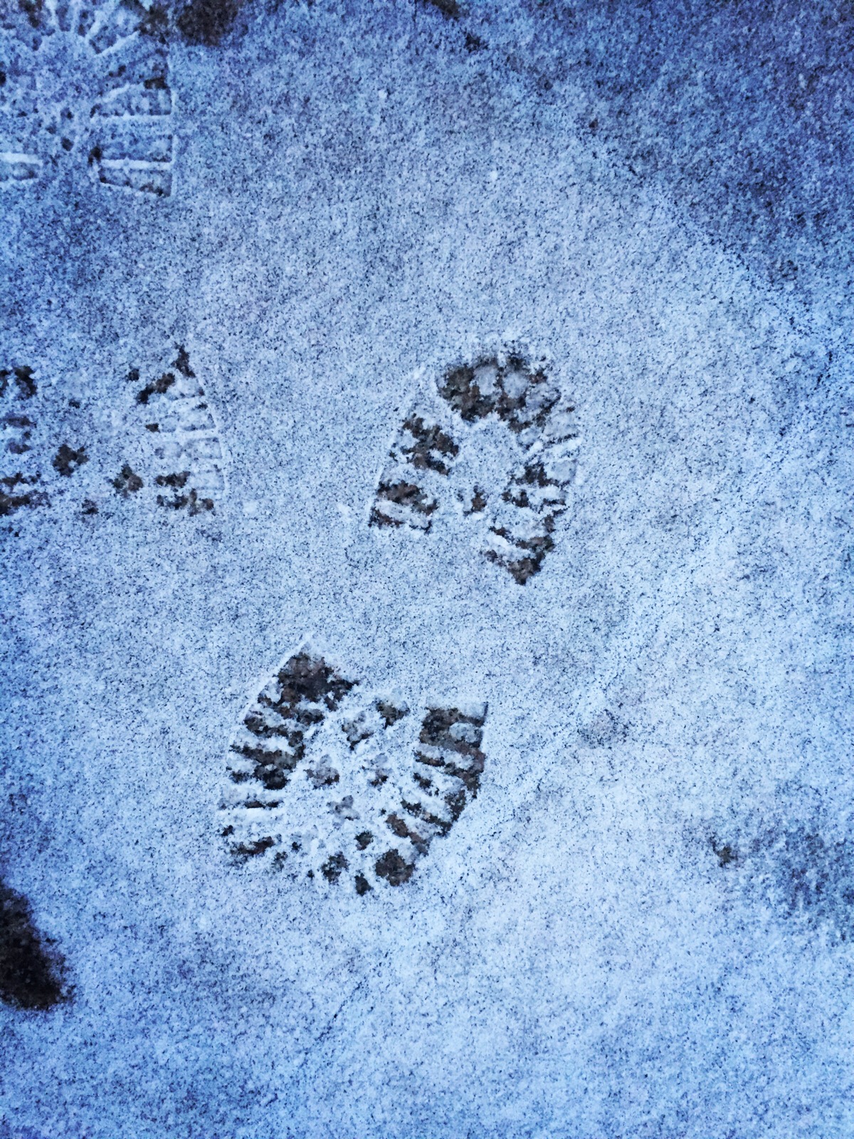 雪地上的脚印