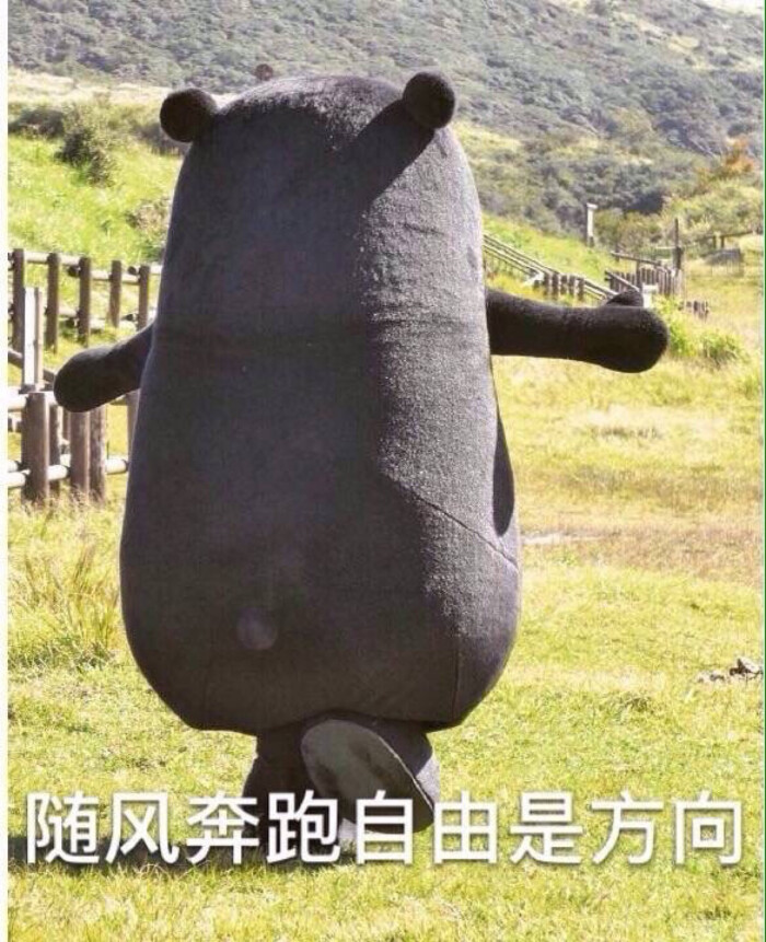 随风奔跑自由是方向 kumamon