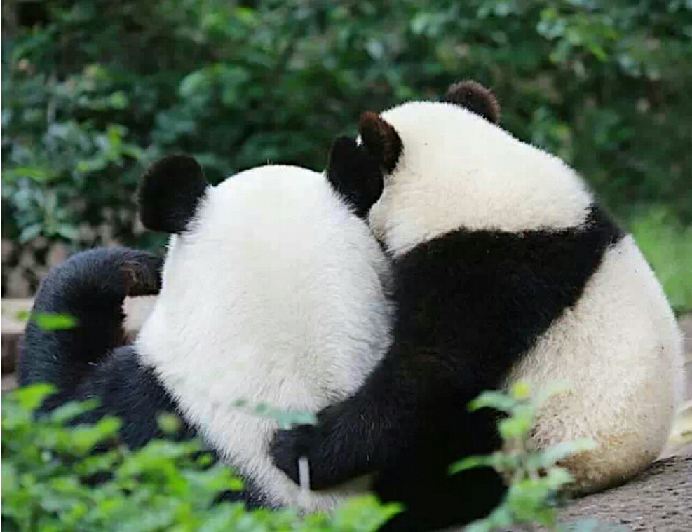 天冷了,我只想要一个温暖的怀抱