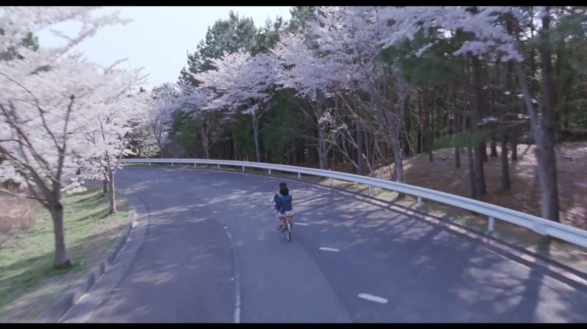 【海街日记】日本镰仓取景,同父异母的四姐妹,平凡的日常最暖人