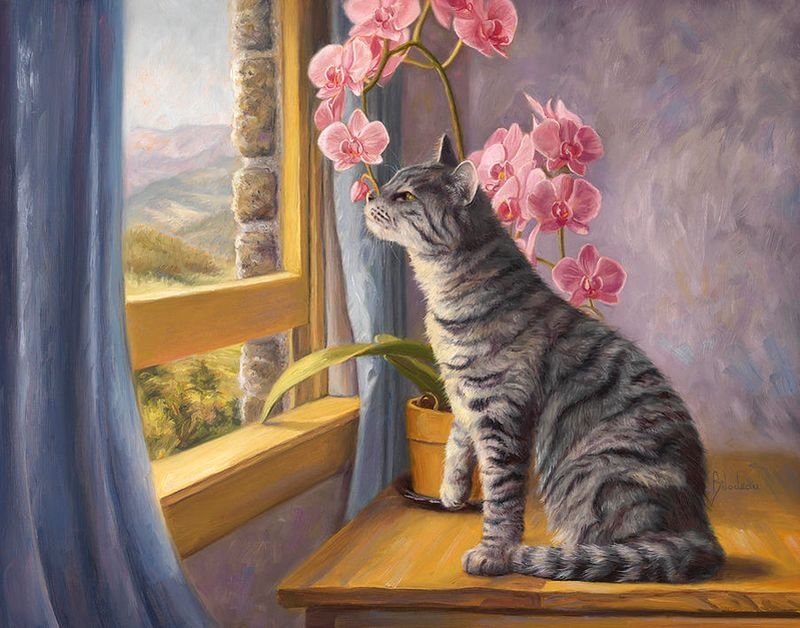 猫咪系列油画作品欣赏 美国画家lucie bilodeau