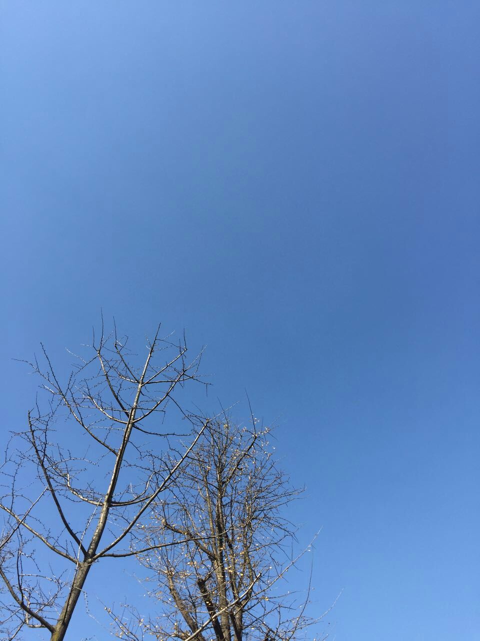 美好的一天.