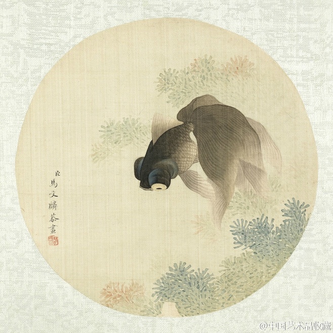 金鱼色彩鲜艳,鲫鱼,鲤鱼墨色淡雅,配景水草以富658_658
