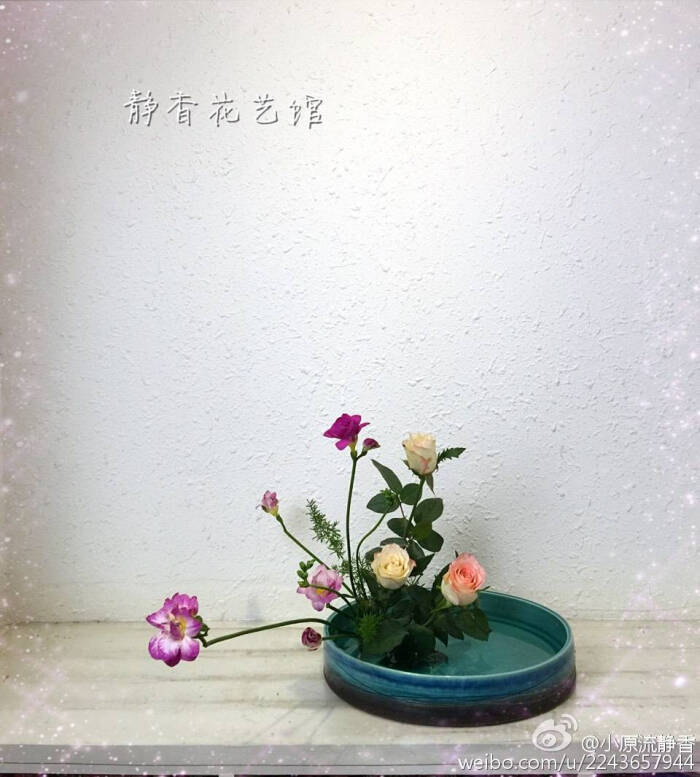 微博下载的图片,剑山插花