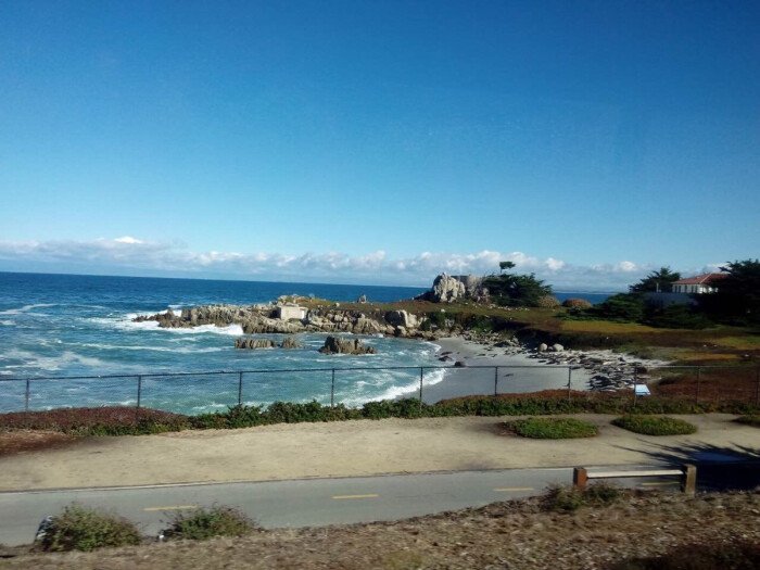 蒙特雷湾 monterey bay