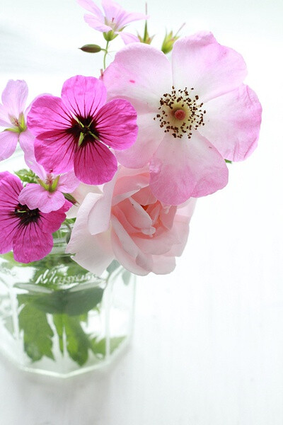 粉色 多肉 浆果 芍药 牡丹 花朵 欧式 斑驳 tiffany 高雅 气质 花束