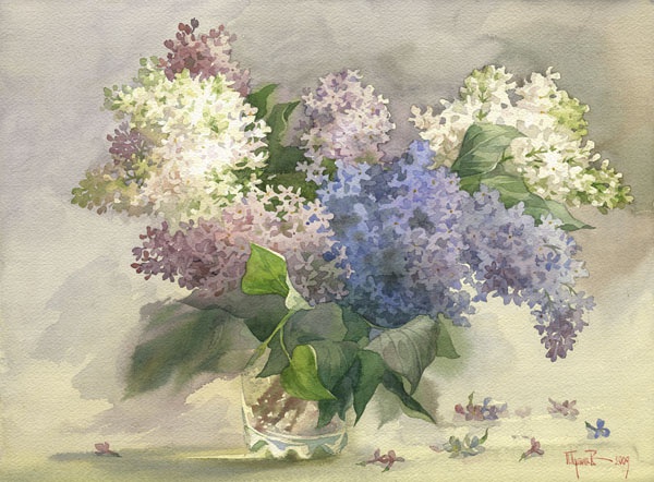 丁香-pugachev pavel画家的水彩花卉,欣赏也可,临摹也可