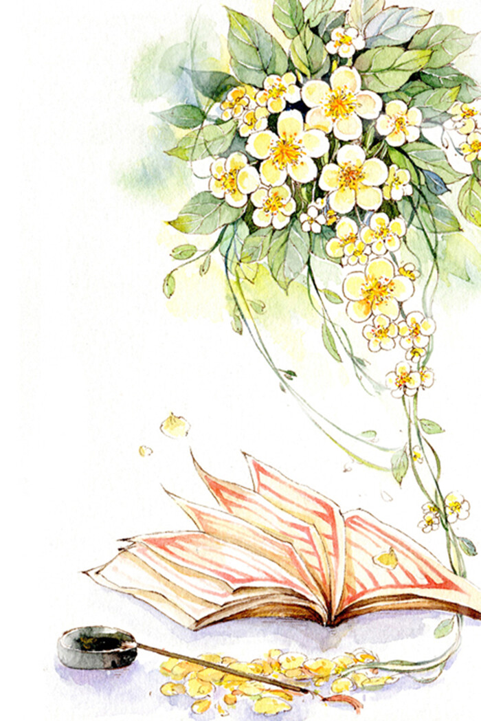 〔 古风水彩 〕作者' 猫耳朵菲菲 