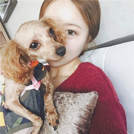 欧美 半身 唯美 遮脸 镜子照 中式风 安静 可爱 卖萌 个性 自拍 狗狗