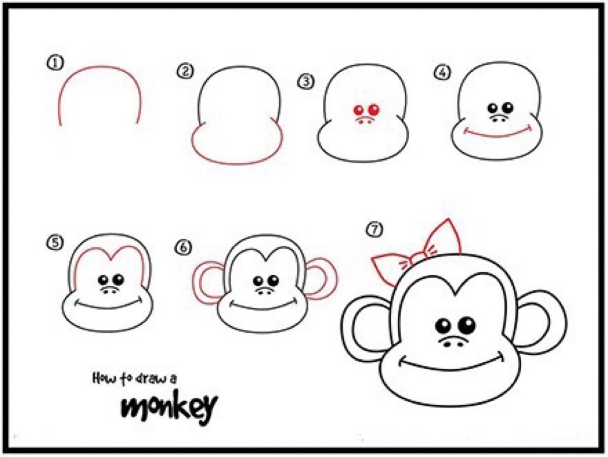 monkey 