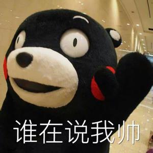 说我帅 