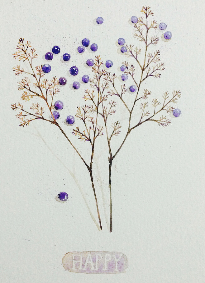 果子与树枝-senny-森妮_森系,树枝,水彩插画,手绘_涂鸦王国插画