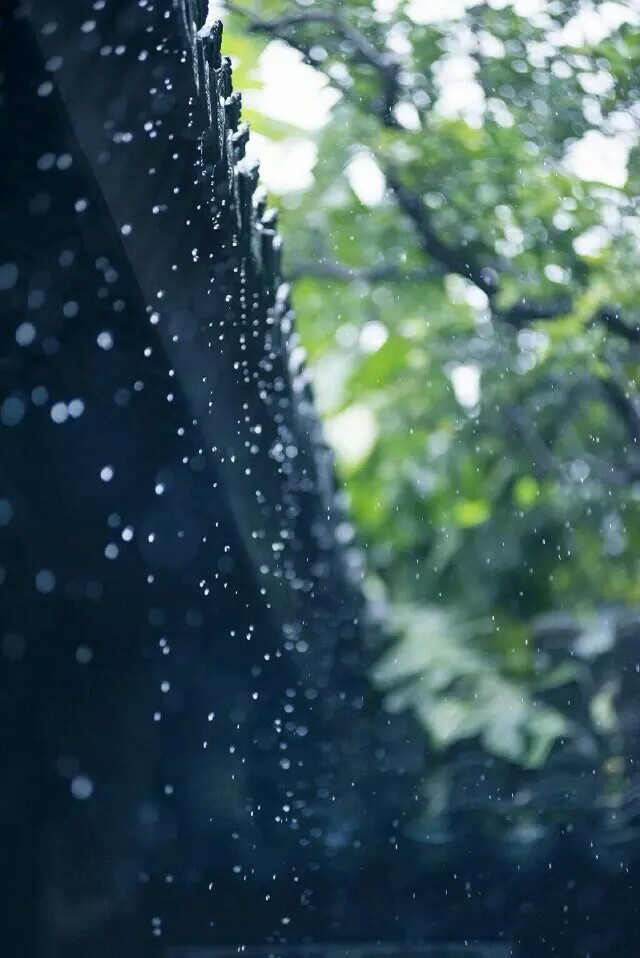 檐下新雨淅沥