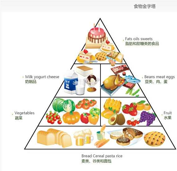 食物金字塔