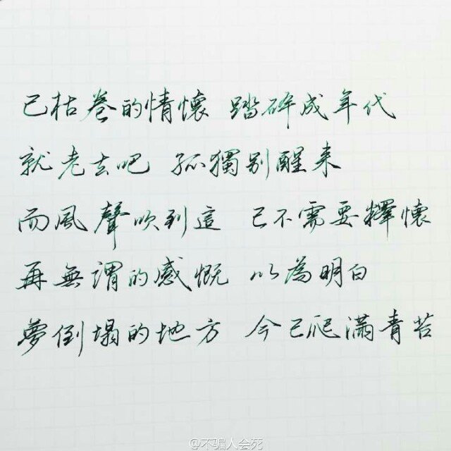 理想三旬 陈鸿宇