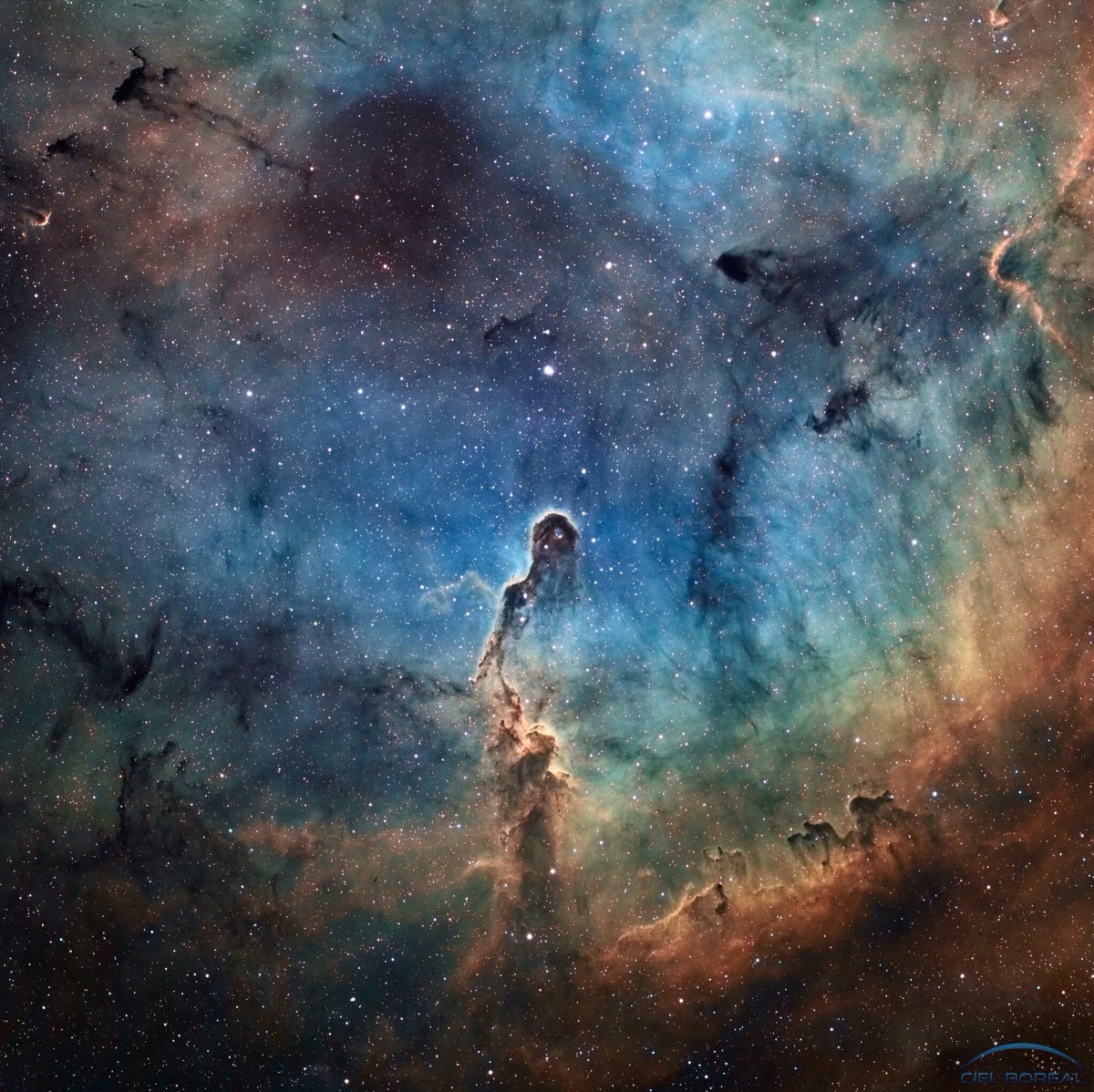 每日一天文图,ic 1396内的象鼻星云,位于仙王座内,距离我们约为3000万