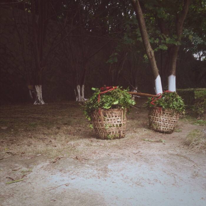 说不清道不明-堆糖,美好生活研究所