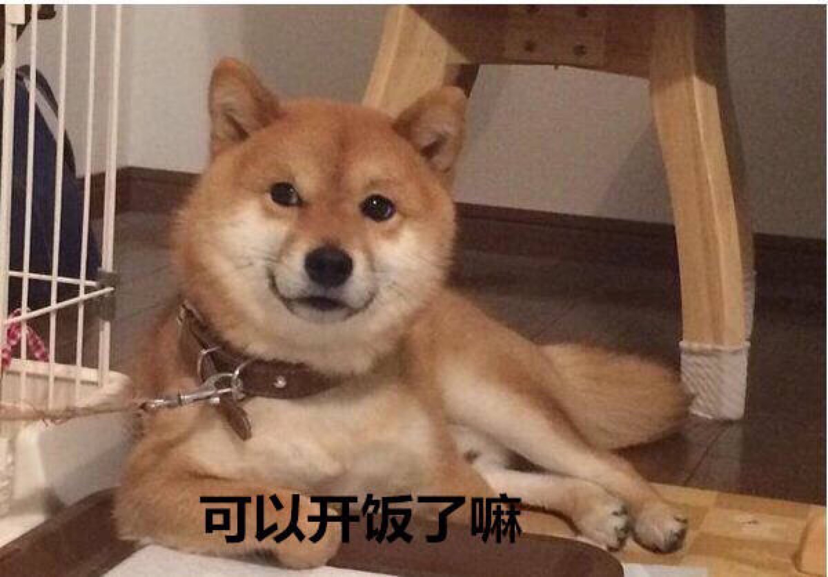 表情图 柴犬