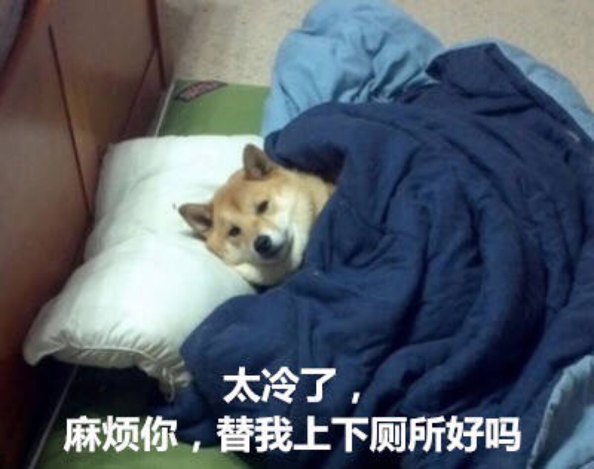 表情图 柴犬 冷